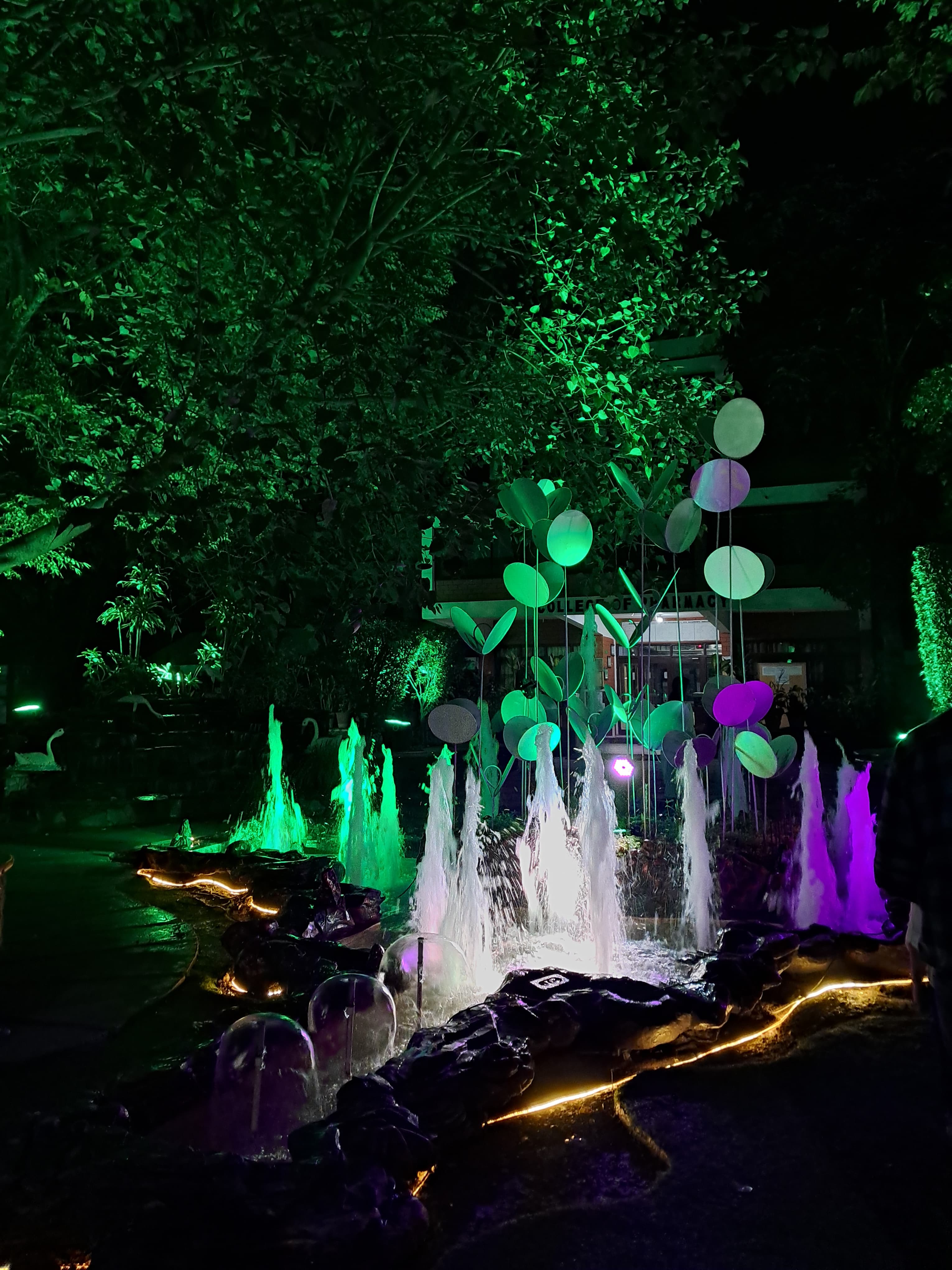 Campus fountain lit up at night